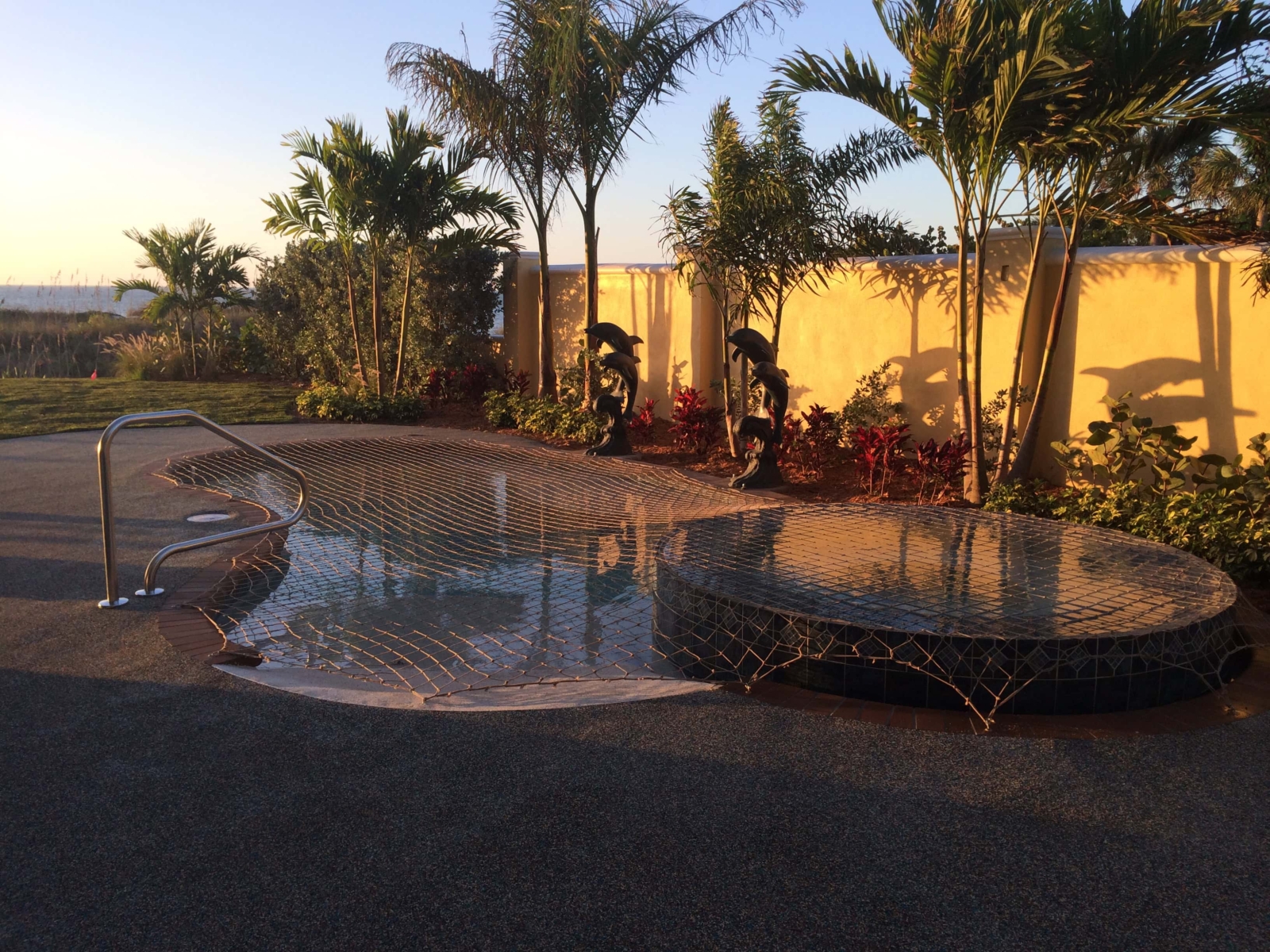 Freeform pool with stainless steel handrail and palm trees at sunset in a Pinellas County backyard
